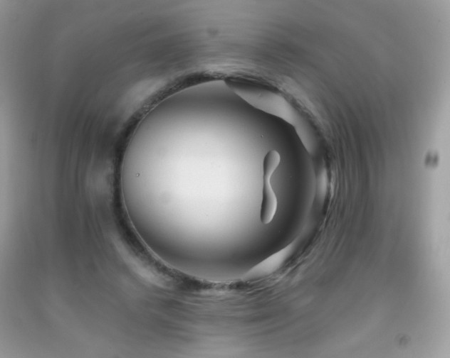 X0000091910448200709051422