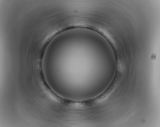 X0000091910449200709051422
