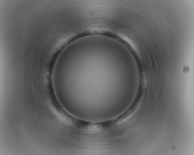 X0000091910451200709051422