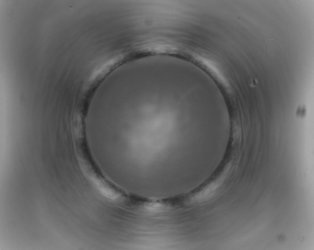 X0000091910453200709051422