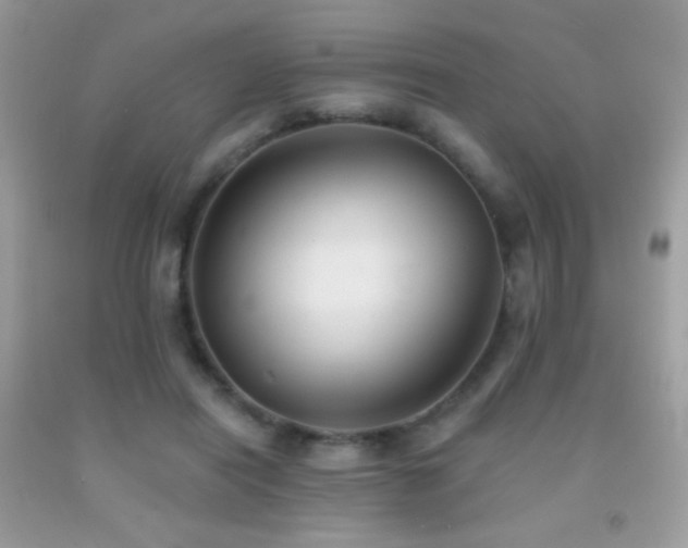 X0000091910454200709051422