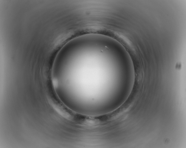 X0000091910455200709051422