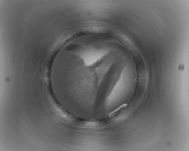 X0000091910457200709051422