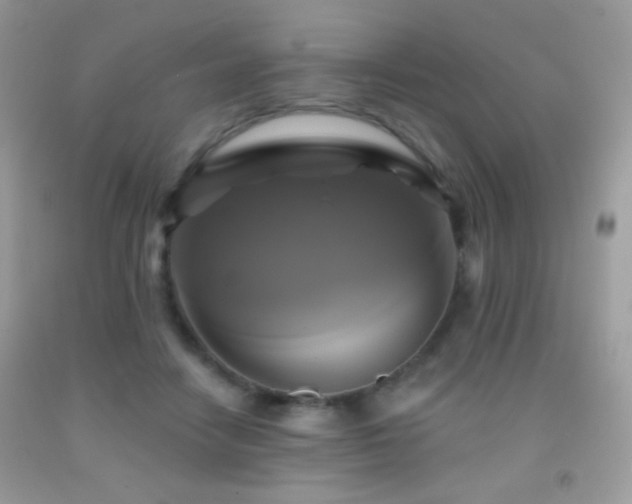 X0000091910458200709051422