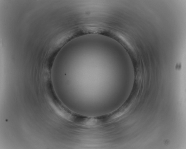 X0000091910459200709051422