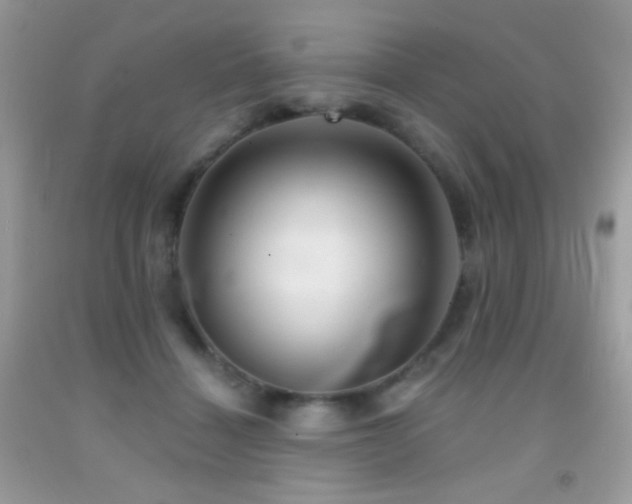 X0000091910460200709051422