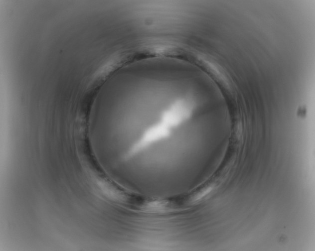 X0000091910461200709051422