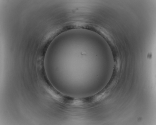 X0000091910462200709051422