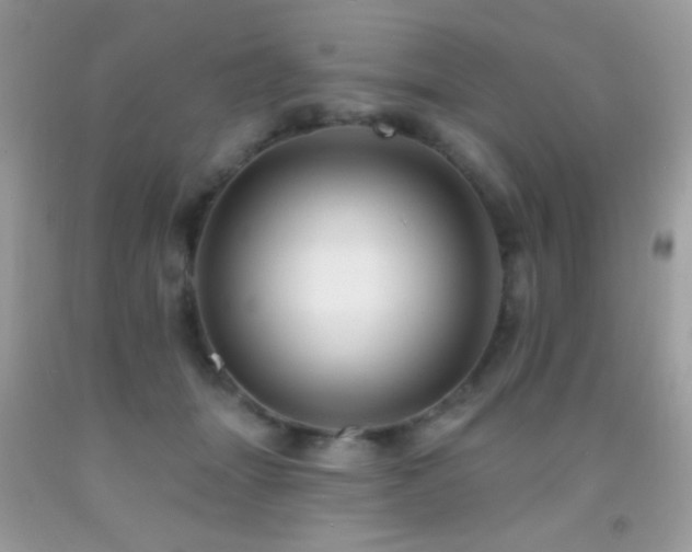 X0000091910463200709051422