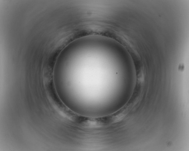 X0000091910464200709051422