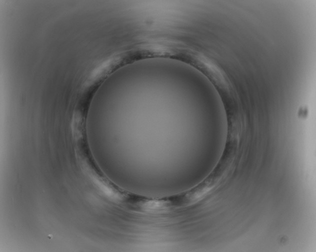 X0000091910465200709051422