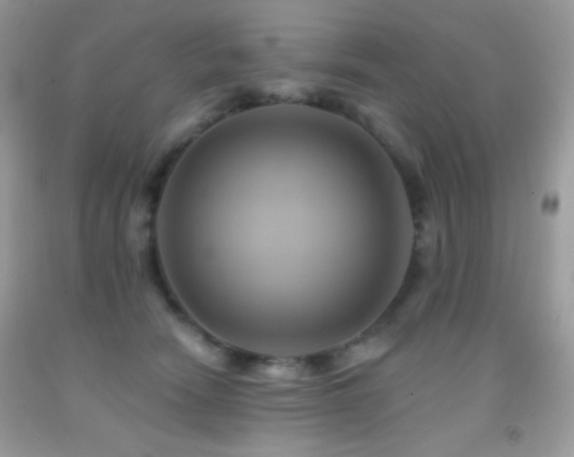 X0000091910466200709051422