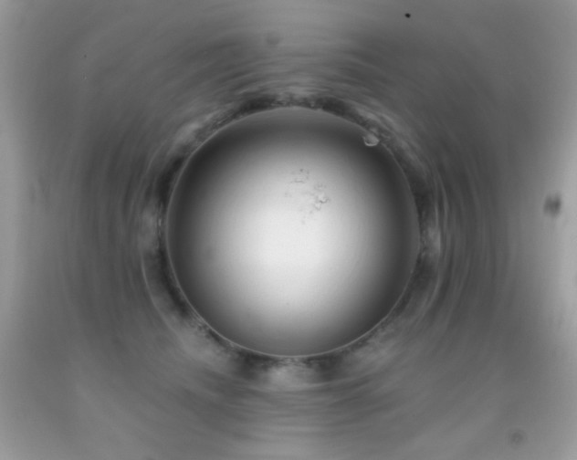 X0000091910468200709051422