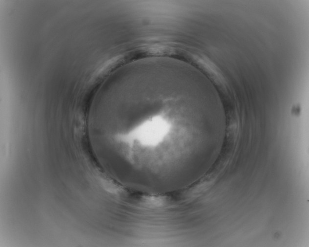 X0000091910469200709051422