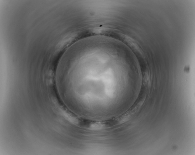 X0000091910470200709051422