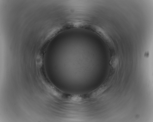 X0000091910471200709051422