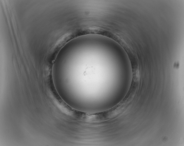 X0000091910472200709051422