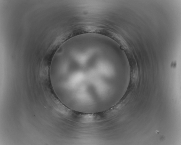 X0000091910473200709051422