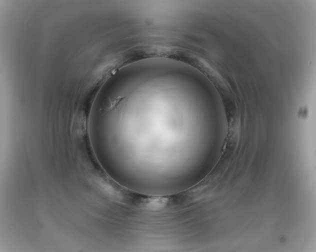 X0000091910474200709051422