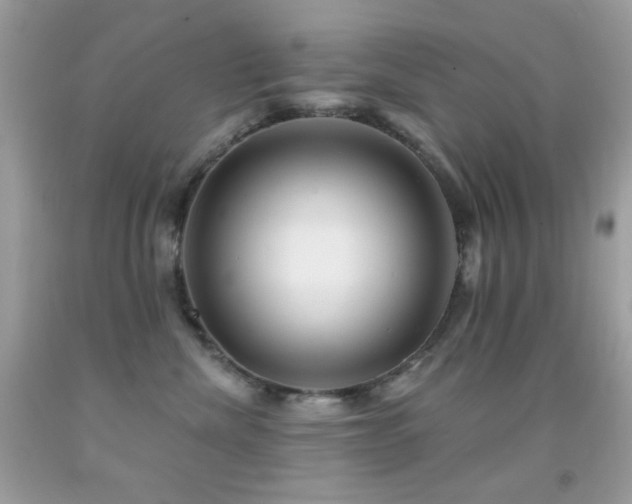 X0000091910476200709051422