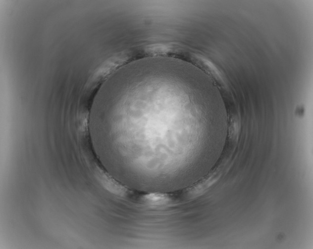 X0000091910477200709051422
