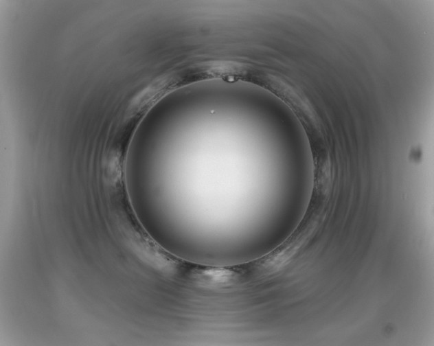 X0000091910478200709051422
