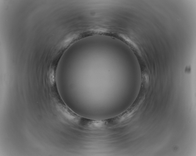 X0000091910479200709051422