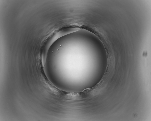 X0000091910480200709051422