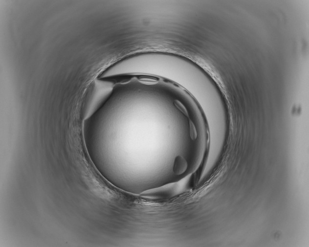 X0000091910481200709051422