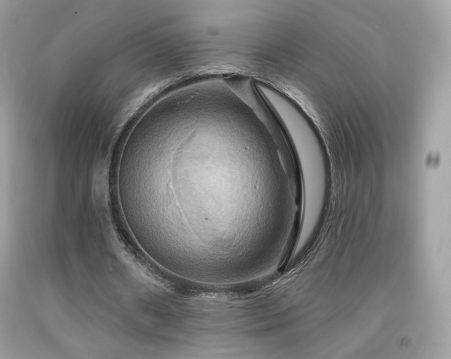 X0000091910482200709051422