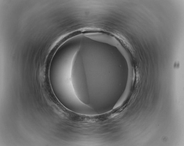X0000091910484200709051422