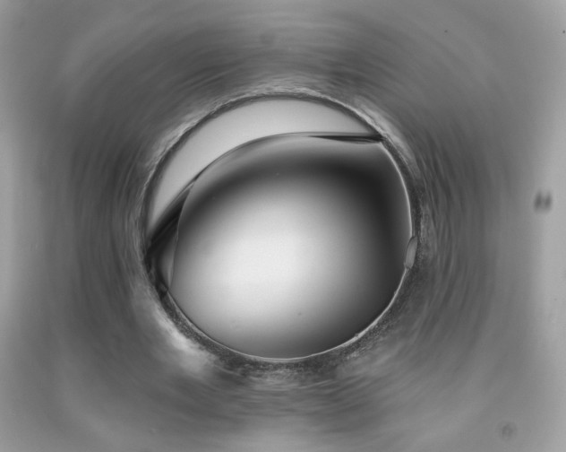 X0000091910485200709051421