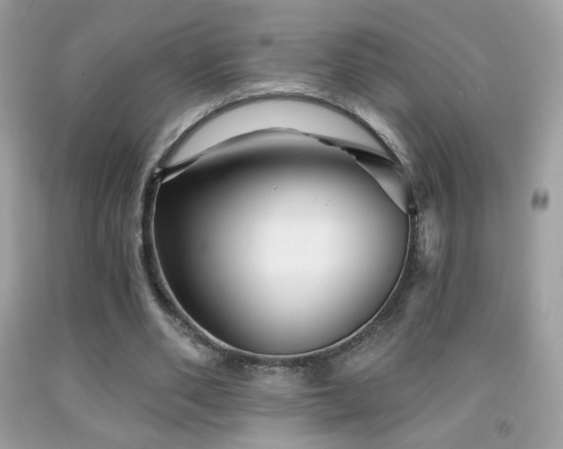 X0000091910486200709051421