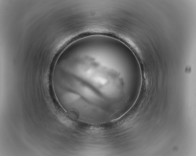 X0000091910487200709051421