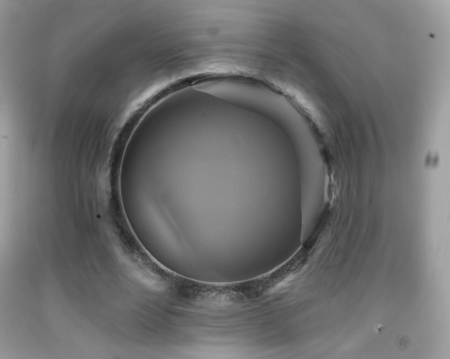 X0000091910488200709051421