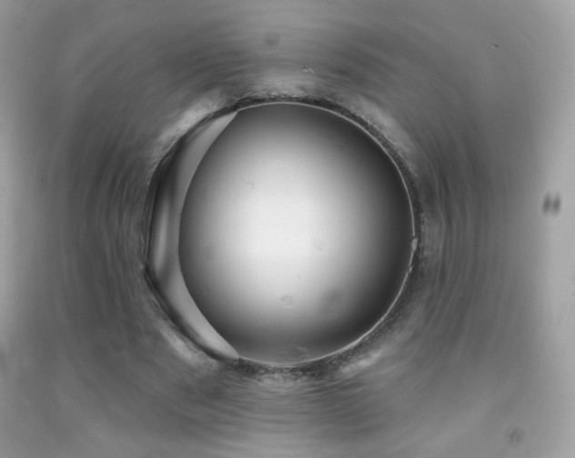 X0000091910489200709051421