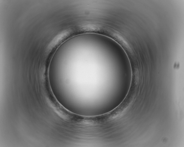 X0000091910490200709051421