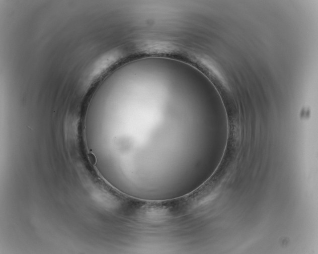X0000091910491200709051421