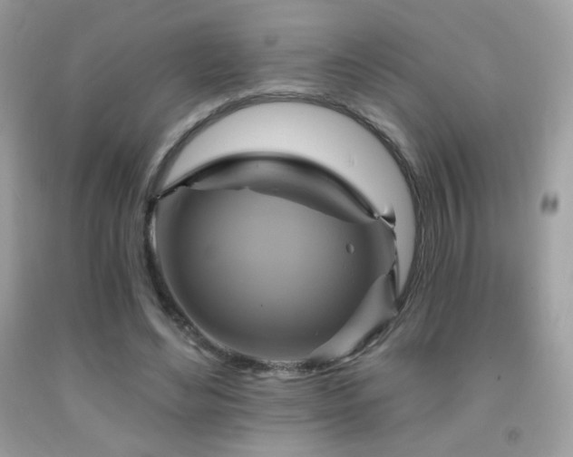 X0000091910492200709051421
