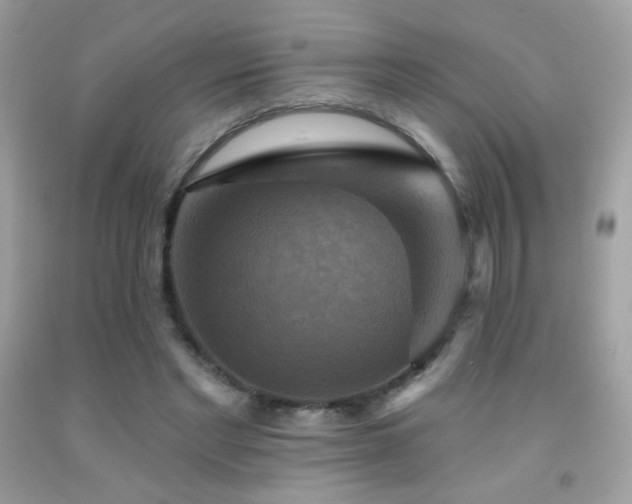 X0000091910493200709051421