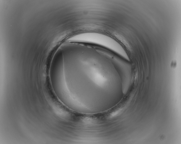 X0000091910494200709051421