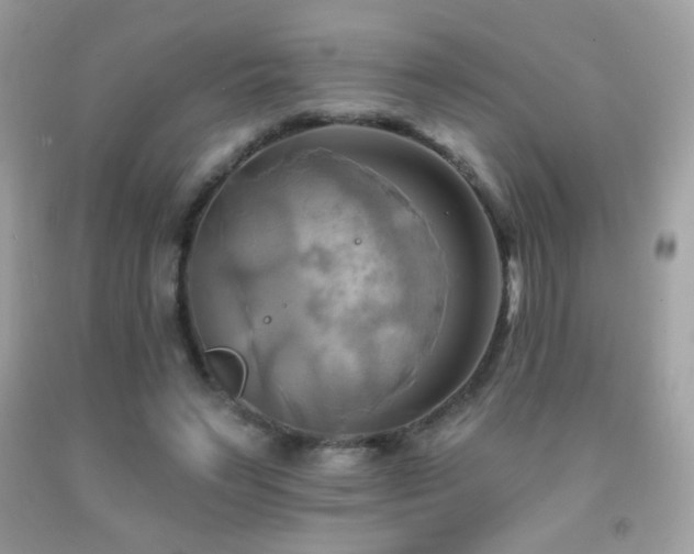 X0000091910495200709051421
