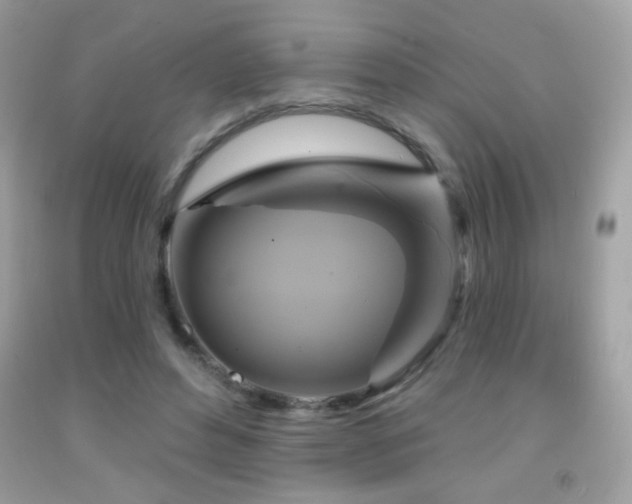 X0000091910496200709051421