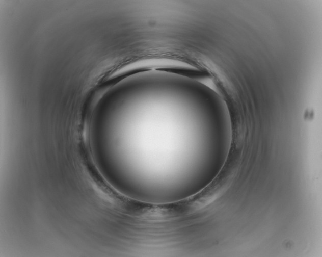 X0000091910497200709051421