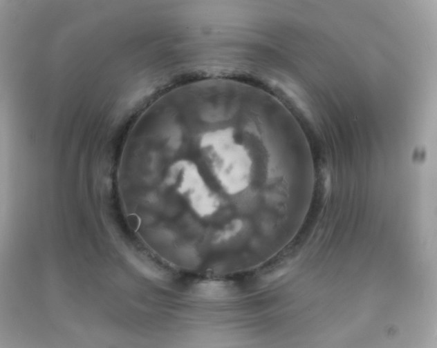 X0000091910499200709051421