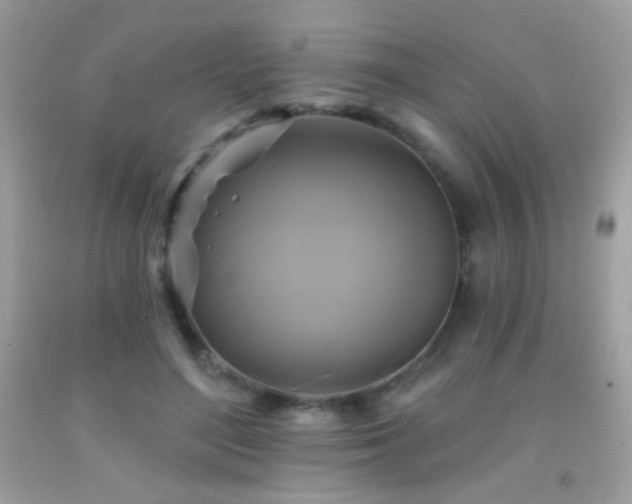 X0000091910500200709051421