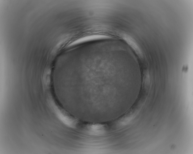 X0000091910501200709051421