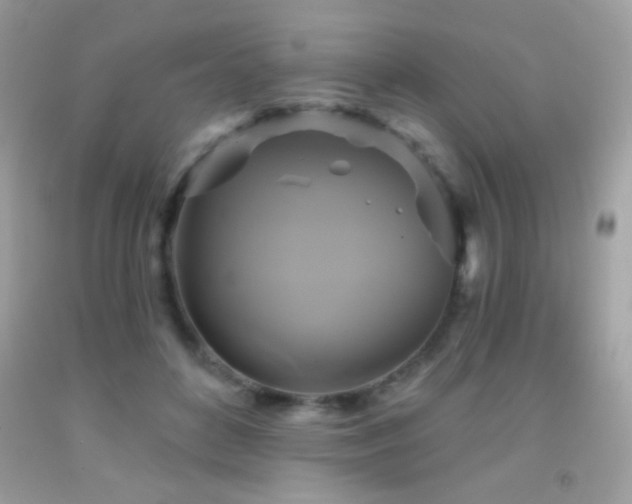 X0000091910504200709051421