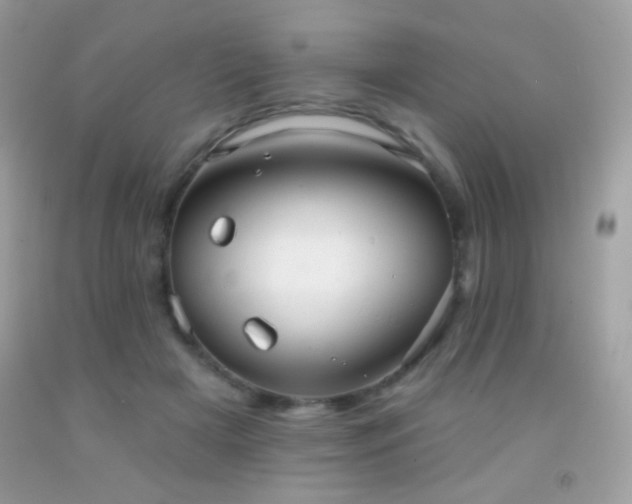 X0000091910505200709051421