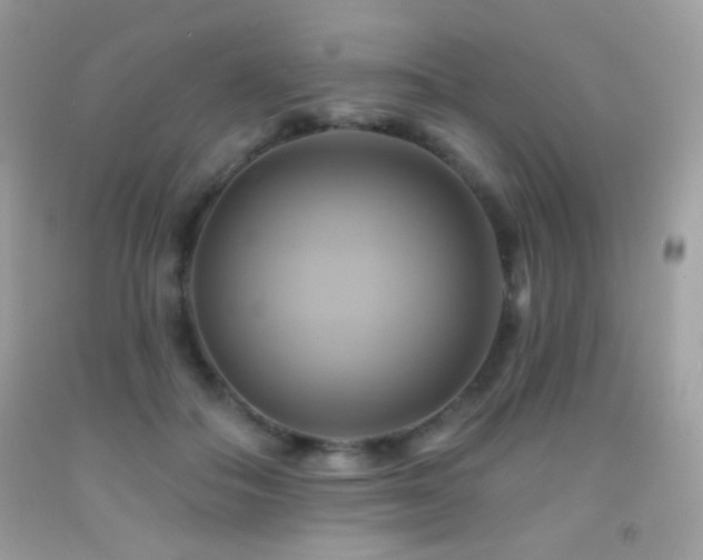 X0000091910506200709051421